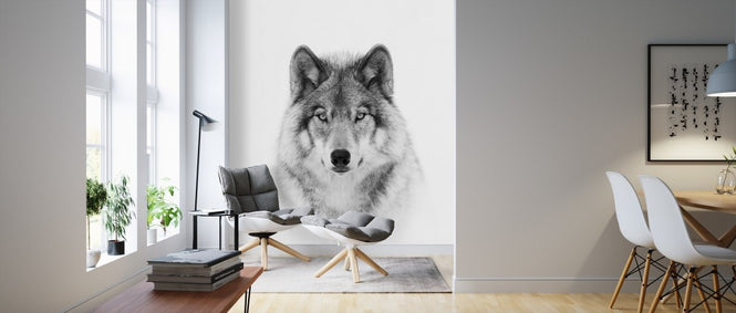 PHOTOWALL / Portrait of a Timber Wolf (e311064)