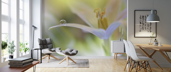 PHOTOWALL / Sunbeam (e311074)