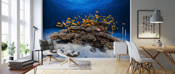 PHOTOWALL / Marine Life (e311086)