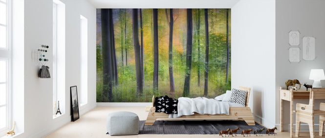 PHOTOWALL / Dreamy (e311097)