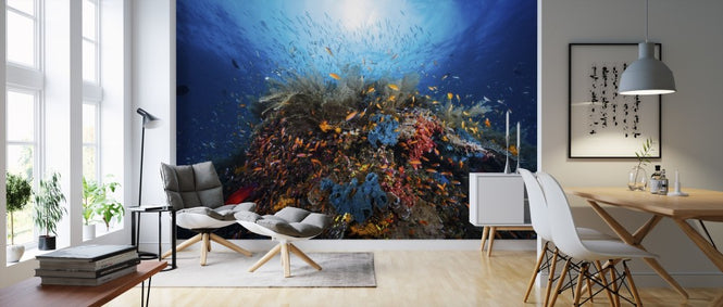 PHOTOWALL / Apnea (e311105)