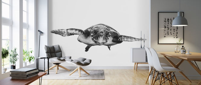 PHOTOWALL / White and Turtle (e311114)