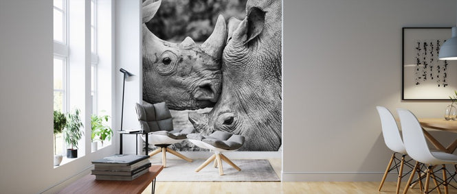 PHOTOWALL / Face to Face (e311118)