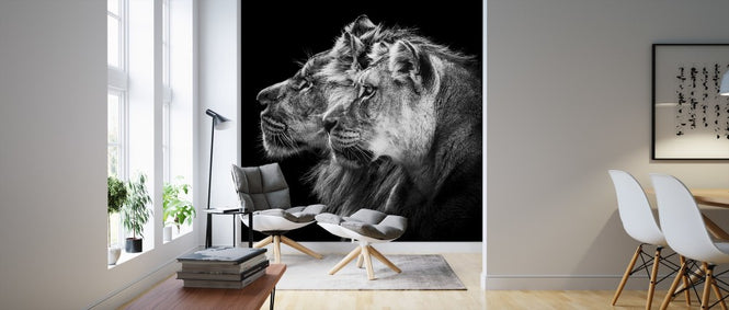 PHOTOWALL / Lion and Lioness Portrait (e311122)