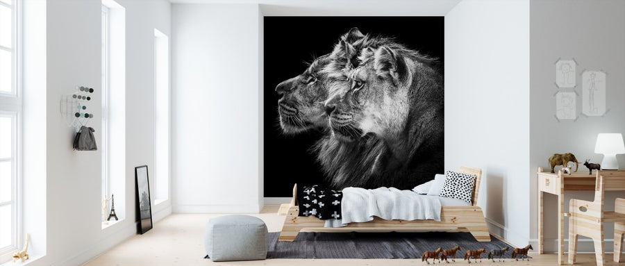 PHOTOWALL / Lion and Lioness Portrait (e311122)