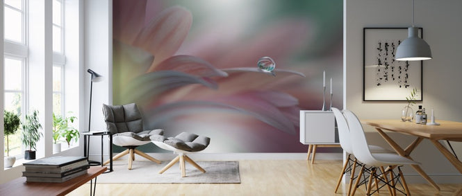 PHOTOWALL / Sunbeam II (e311131)