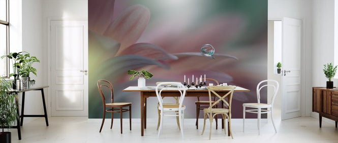 PHOTOWALL / Sunbeam II (e311131)