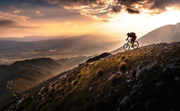 PHOTOWALL / Sunset Ride (e311135)