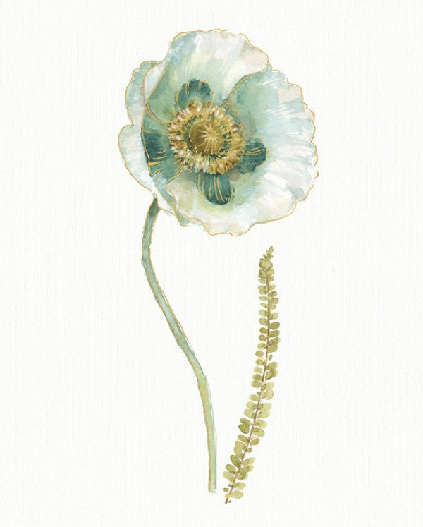 PHOTOWALL / My Greenhouse Single Poppy I (e311148)