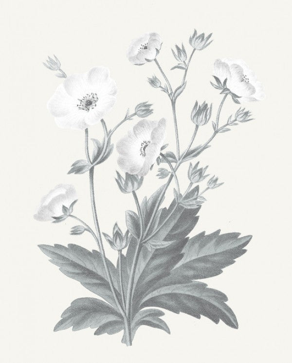 PHOTOWALL / Neutral Botanical VI (e311154)