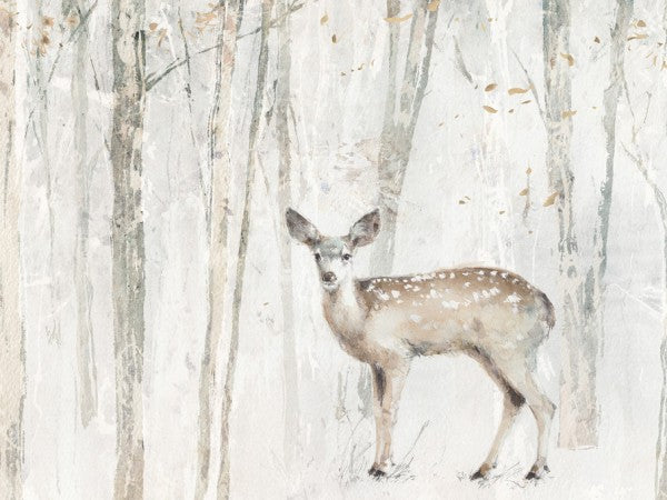 PHOTOWALL / A Woodland Walk VII Crop (e311157)