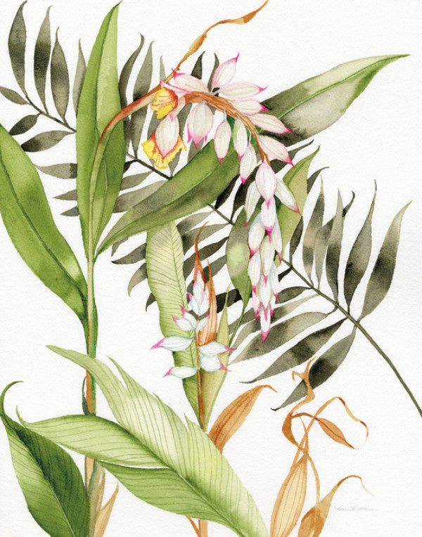 PHOTOWALL / Botanical Shell Ginger Crop (e311161)