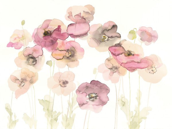 PHOTOWALL / Delicate Poppies (e311171)