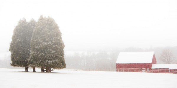PHOTOWALL / Winter Farm (e311172)