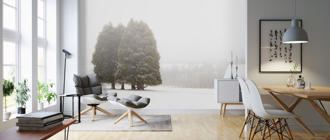 PHOTOWALL / Winter Farm (e311172)