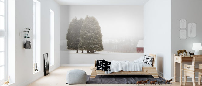 PHOTOWALL / Winter Farm (e311172)