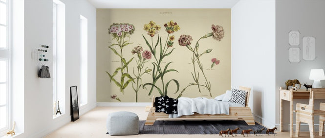 PHOTOWALL / Herbal Botanical VIII (e311181)