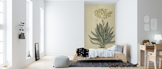 PHOTOWALL / Herbal Botanical XXXI (e311183)