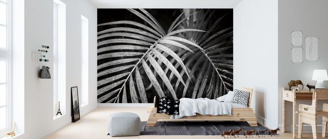 PHOTOWALL / Palm Fronds (e311196)