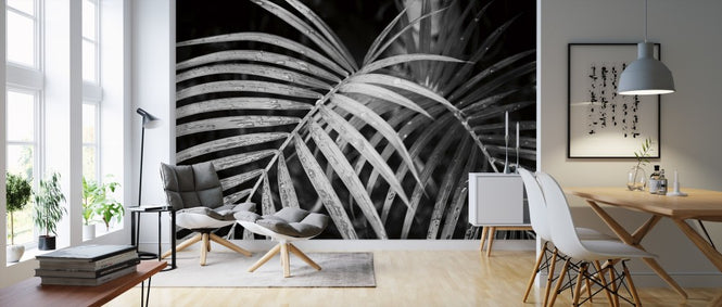 PHOTOWALL / Palm Fronds (e311196)