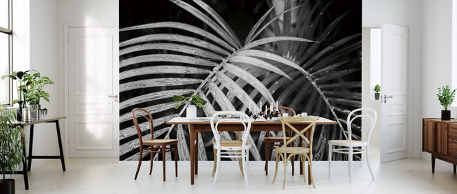 PHOTOWALL / Palm Fronds (e311196)