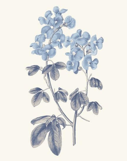 PHOTOWALL / Blue Botanical III (e311198)