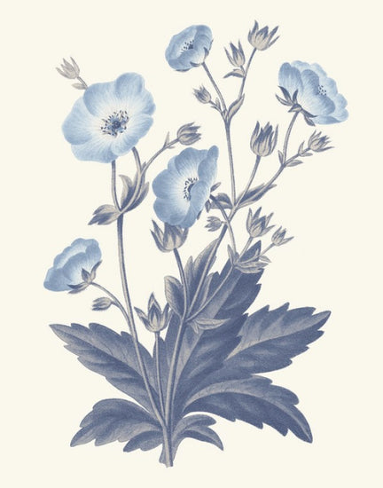 PHOTOWALL / Blue Botanical VI (e311199)