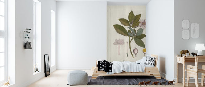 PHOTOWALL / Botanical Gardenia v2 (e311235)