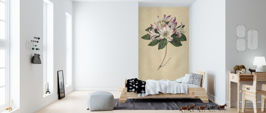 PHOTOWALL / Rhododendron Vintage (e311236)