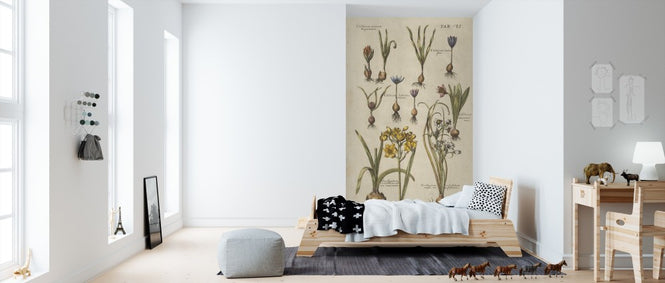 PHOTOWALL / Vintage Florilegium II (e311238)