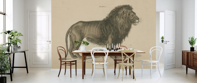 PHOTOWALL / Vintage Lion (e311243)