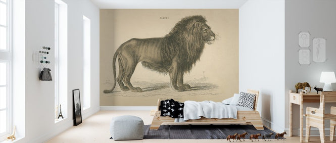 PHOTOWALL / Vintage Lion (e311243)