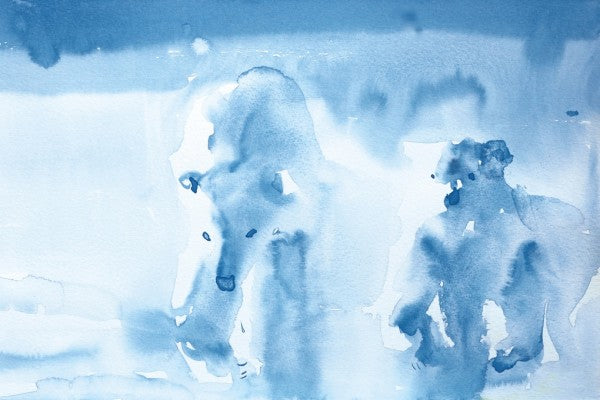 PHOTOWALL / Ice Bears (e311255)