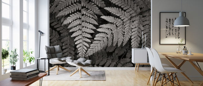 PHOTOWALL / Lady Fern II (e311260)
