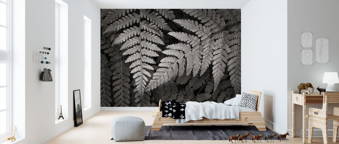PHOTOWALL / Lady Fern II (e311260)