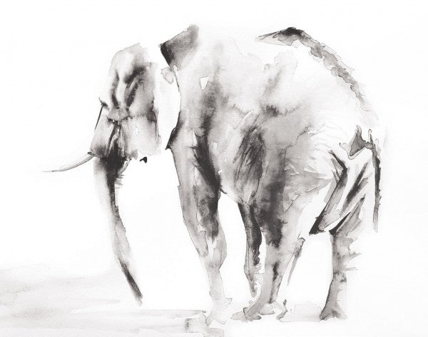PHOTOWALL / Lone Elephant Gray Crop (e311264)