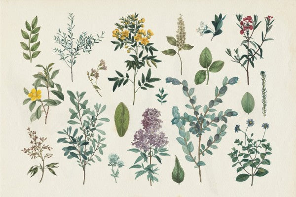 PHOTOWALL / Victorian Garden IV (e311269)