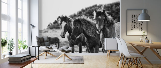 PHOTOWALL / Horses Three (e311276)