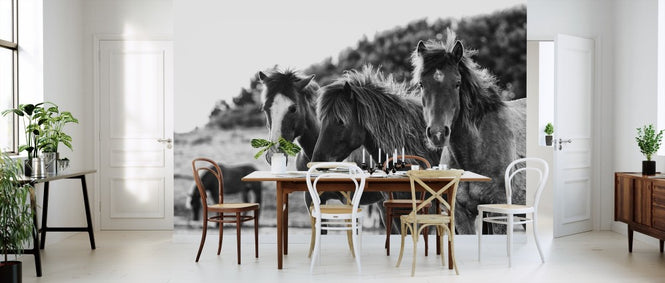PHOTOWALL / Horses Three (e311276)