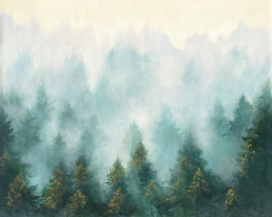 PHOTOWALL / Misty Forest (e311277)