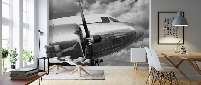 PHOTOWALL / Airborne 3 (e311305)