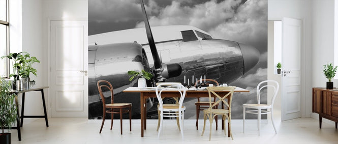 PHOTOWALL / Airborne 3 (e311305)