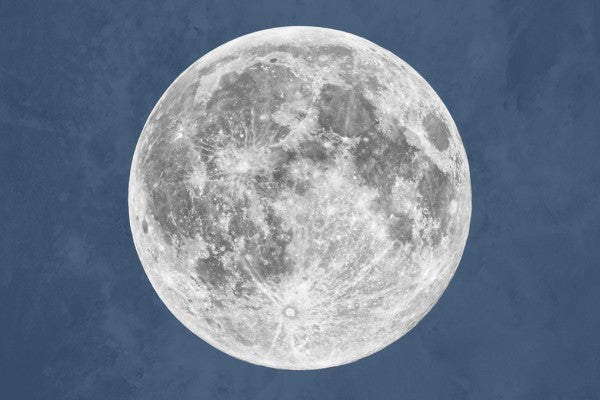 PHOTOWALL / Blue Moon (e311314)