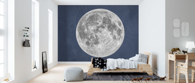 PHOTOWALL / Blue Moon (e311314)