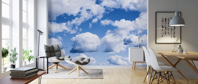 PHOTOWALL / Cumulus Clouds (e311356)