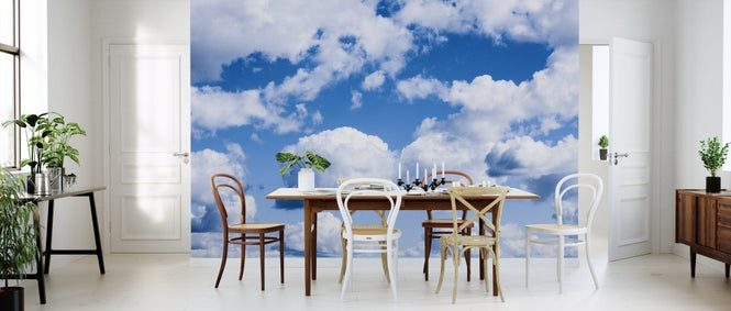 PHOTOWALL / Cumulus Clouds (e311356)