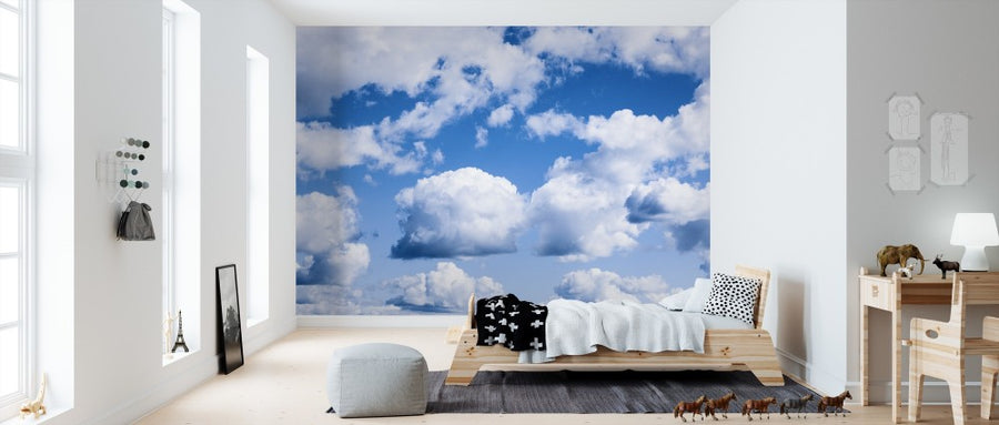 PHOTOWALL / Cumulus Clouds (e311356)