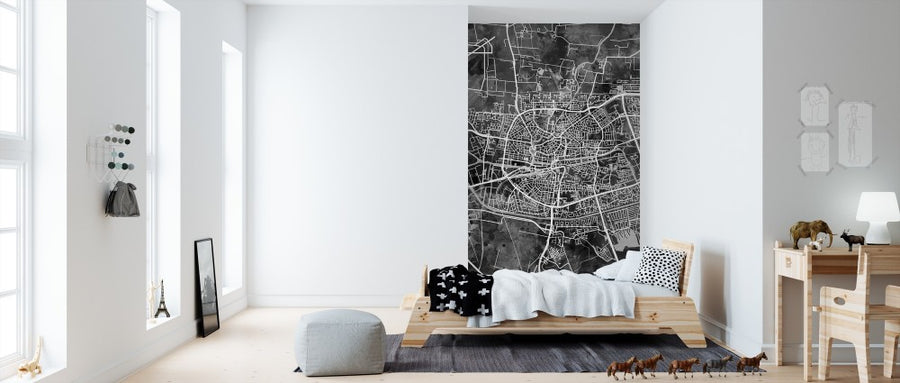PHOTOWALL / Leeuwarden Netherlands City Map (e311484)