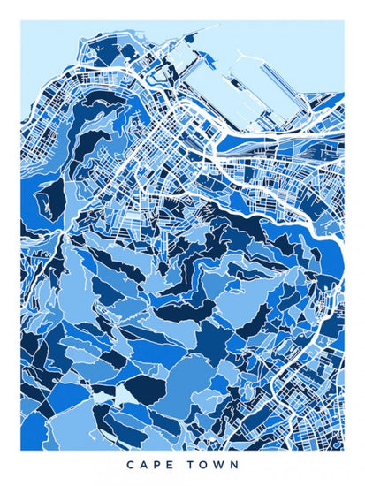 PHOTOWALL / Cape Town South Africa City Street Map (e311576)
