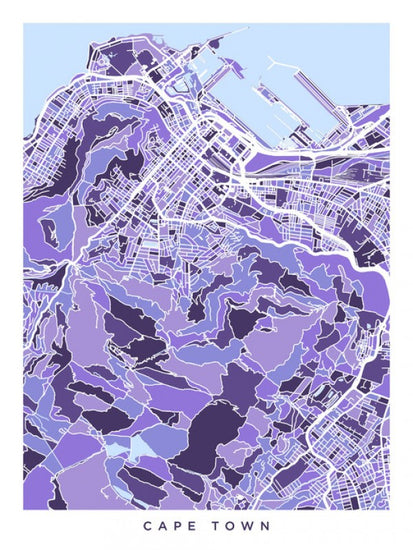 PHOTOWALL / Cape Town South Africa City Street Map (e311577)